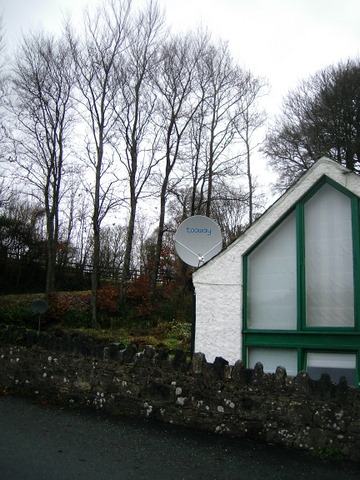 Sat Dish 2.JPG